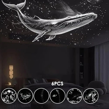 Starry Sky Light